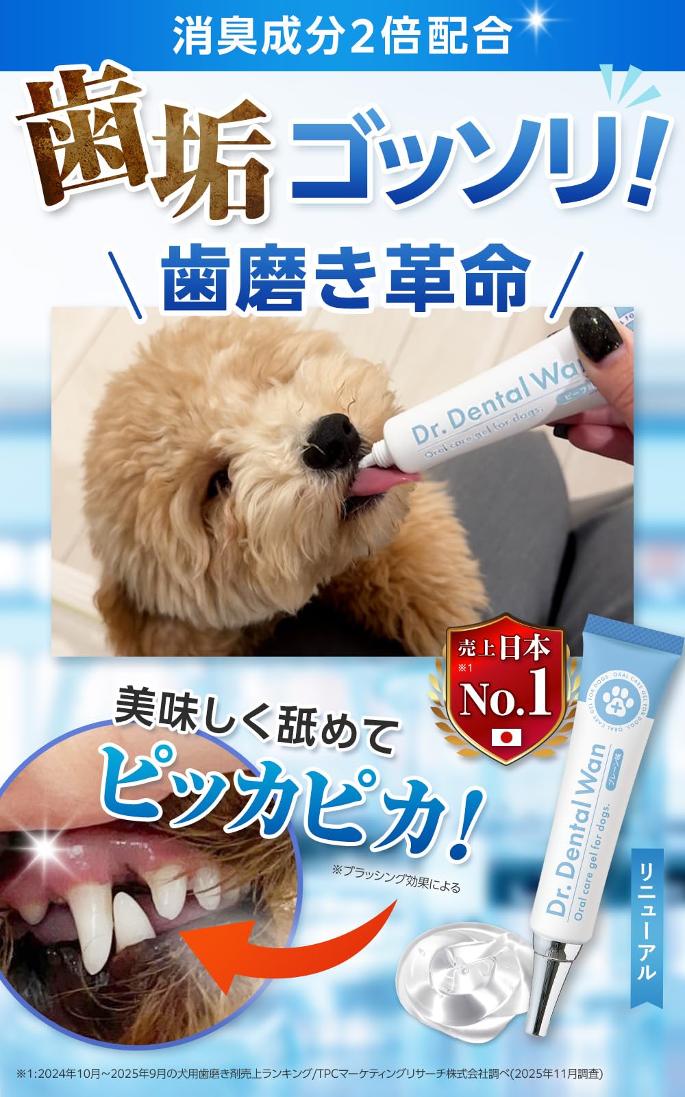 Amazon.co.jp: 【ドクターデンタルワン】犬 歯磨き 犬 歯磨きジェル 犬