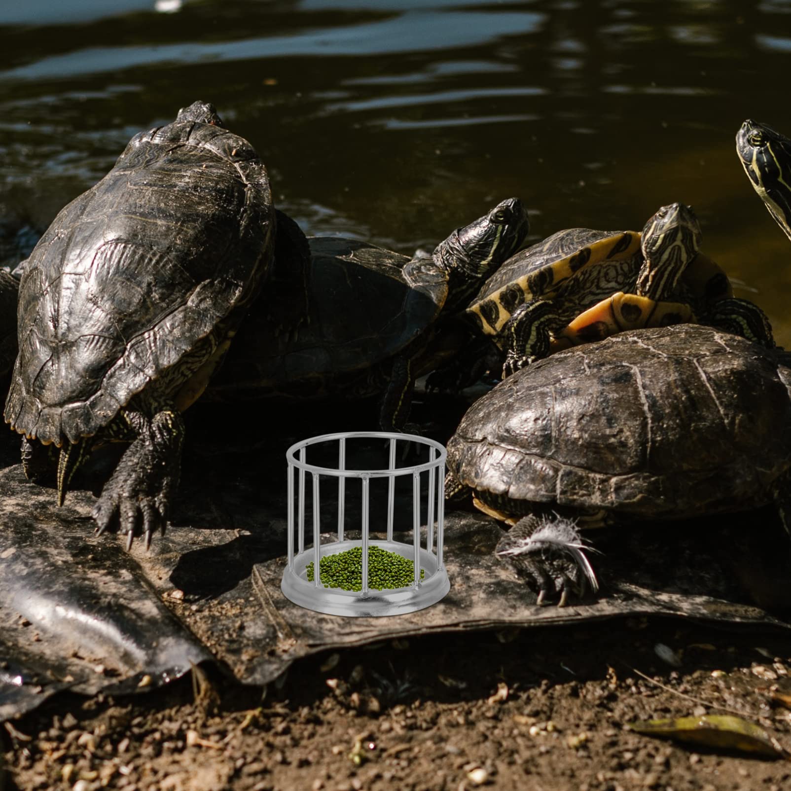 Kisangel 3piezas Comedero Inoxidable para Reptiles y Tortugas Alimentador Automático De Agua y Comida para Gansos y Aves Diseño y