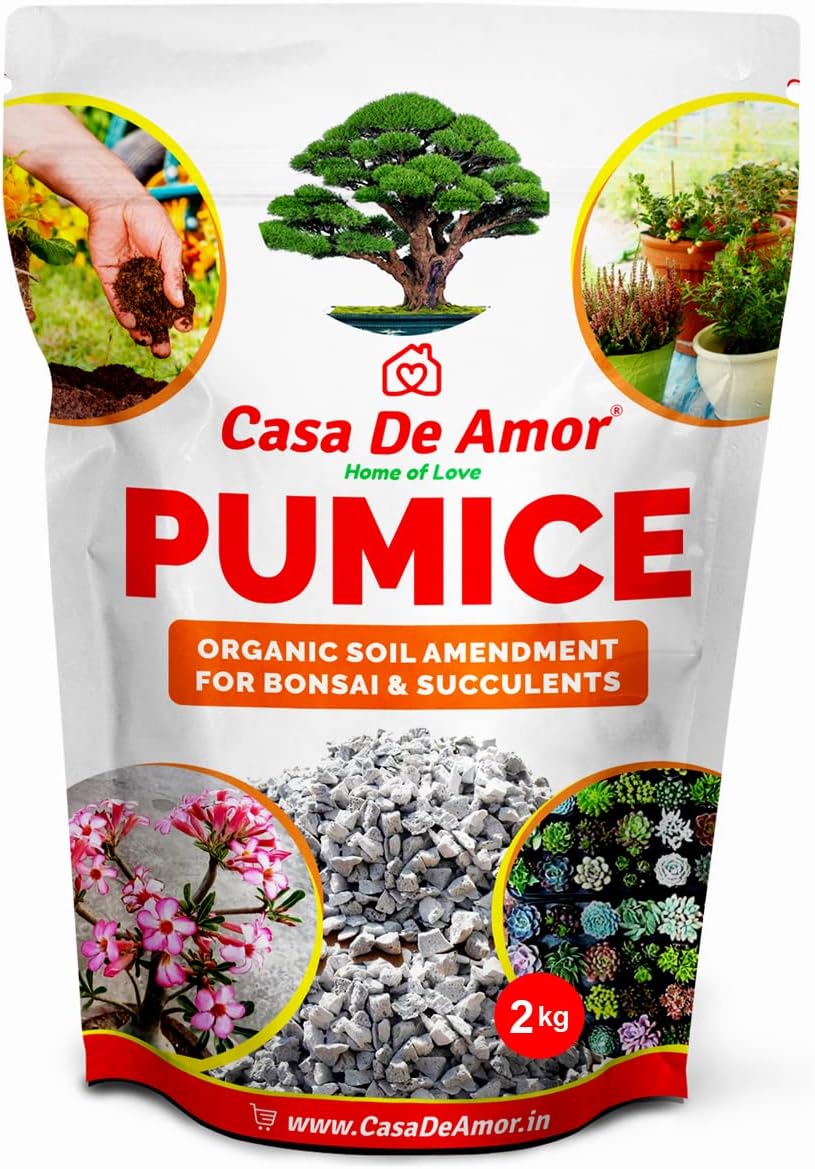 asa De Amor Pumice Essential Soil Amendment for Bonsai & Succulents Plants