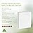 Prime Line Packaging White Gift Bags, Shopping Gift Bags Medium with Handles for Small Business, Boutiques, Retail, Merchandise, Party Favors, Bulk 10x5x13, 50 Pack