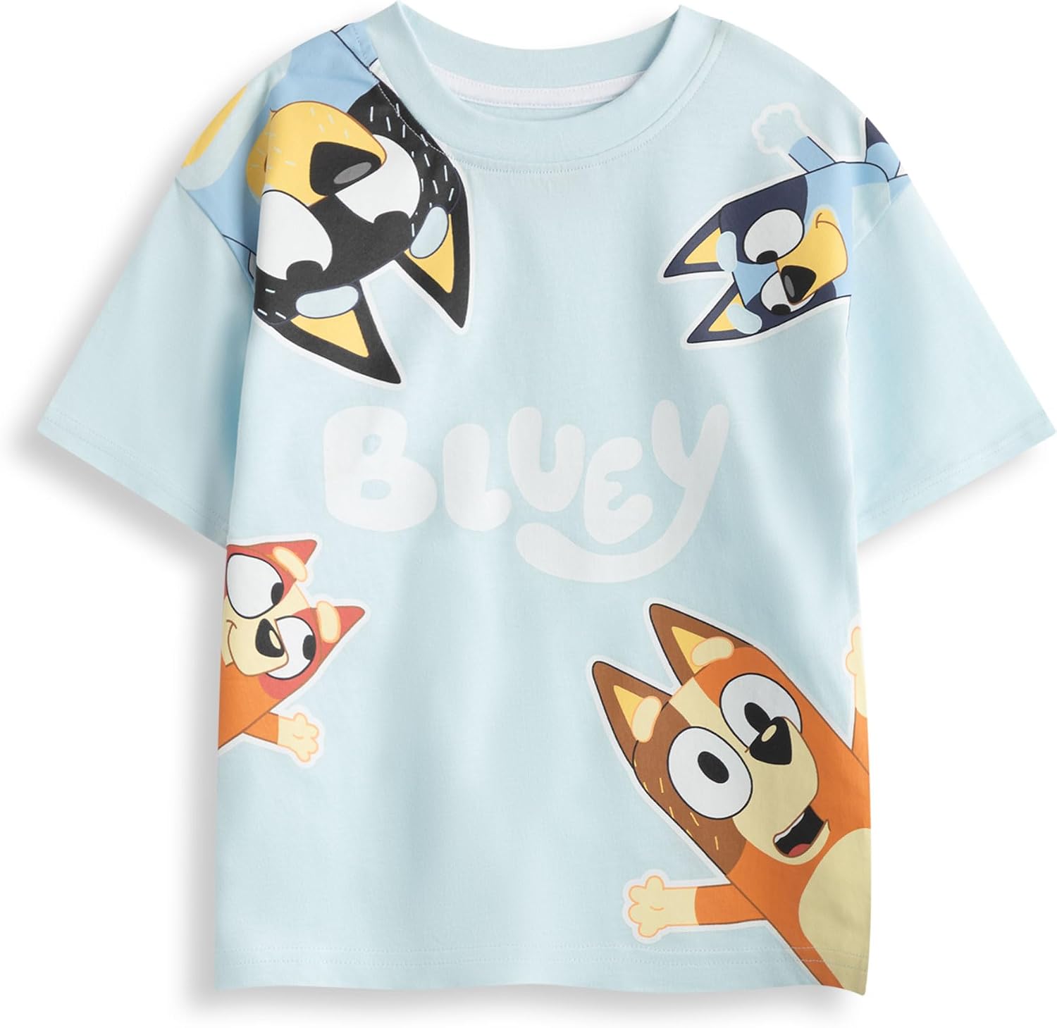 Bluey & Bingo Kids Top and Shorts Set | Green and Blue Cartoon Character Outfit | Short Sleeve T-Shirt and Shorts Set
