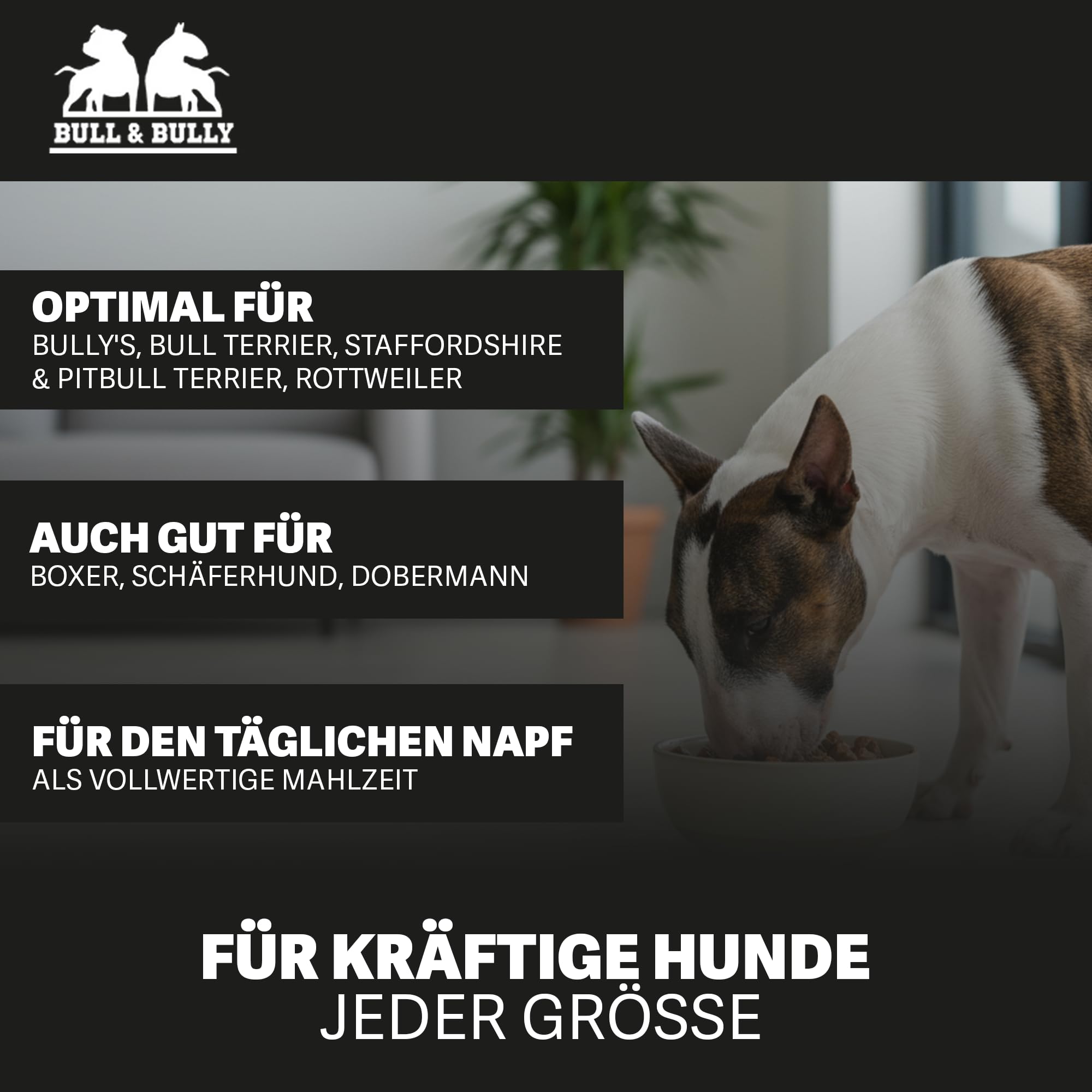 Hundefutter Nass 800g 12x Fleischmahlzeit Truthahn mit Reis