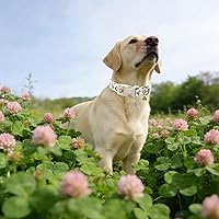 Vista 57 de Unique Style Paws - Collar rosa con hebilla de metal, duradero y lindo para perros pequeños a grandes