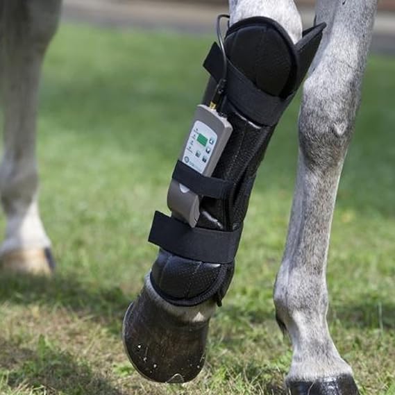 OMI Horses: Full PEMF Package