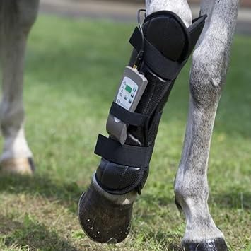 OMI Horses: Full PEMF Package