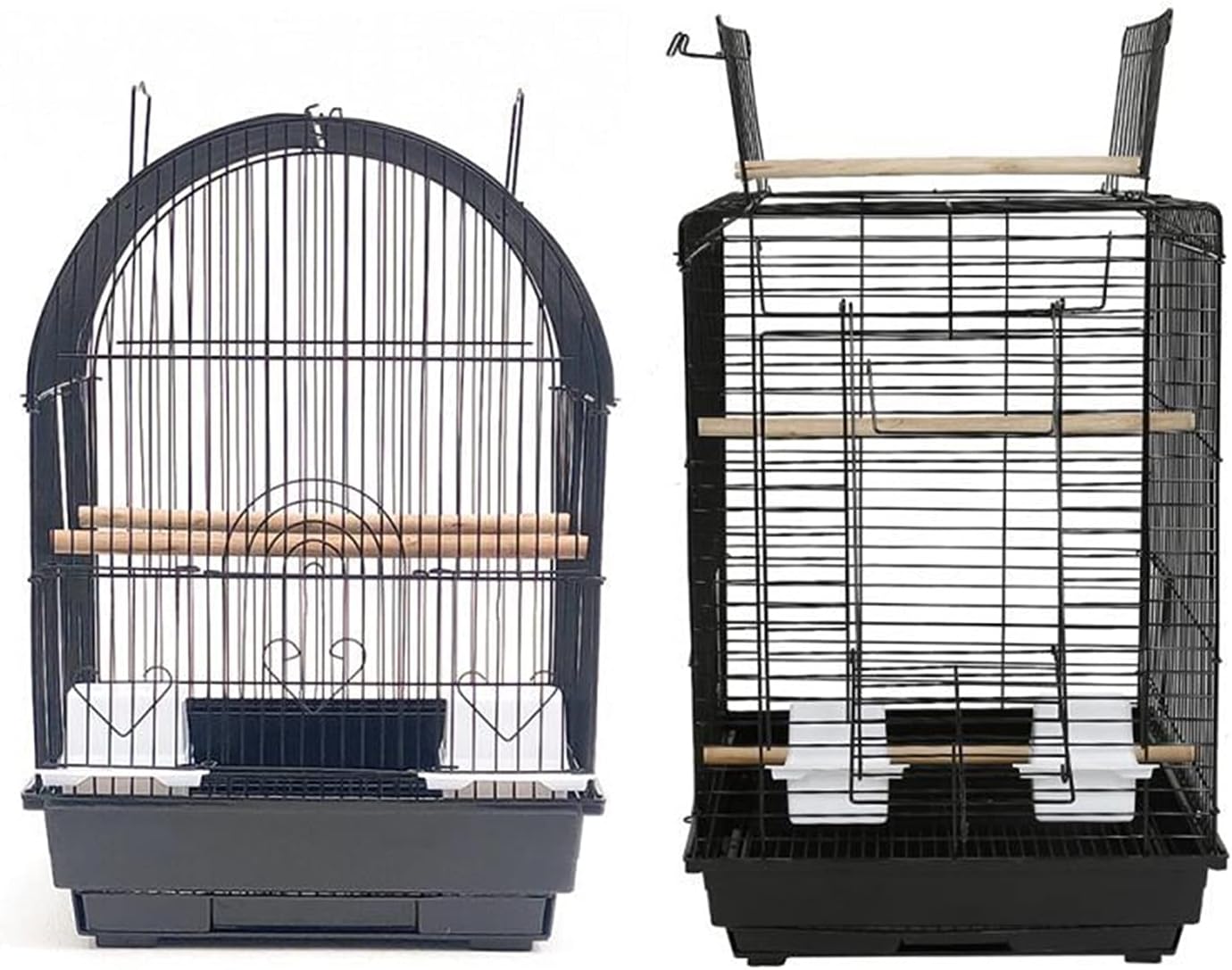 親株 ウネリ強alcicorne Madagascar Vassei ビカクシダ Platycerium