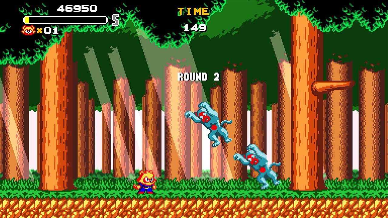Amazon.com: Tanuki Justice - Nintendo Switch : Everything Else