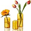 Set de 3 jarrones de vidrio ZENS, pequeños jarrones de ámbar soplados a mano para decoración floral, jarrón de vidrio transparente cilíndrico moderno para boda, sala de estar, decoración del hogar 1