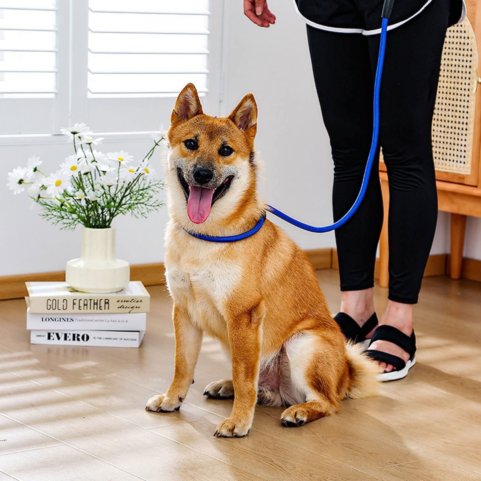 XIANGFAGS Laisse Chien Laisse for chien chaîne P laisse for chiens laisses résistantes à la traction for chien chaîne de marche réglable laisses for chiens accessoires for animaux de compagnie fournit