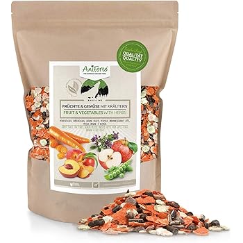 vegetables for dogs raw diet