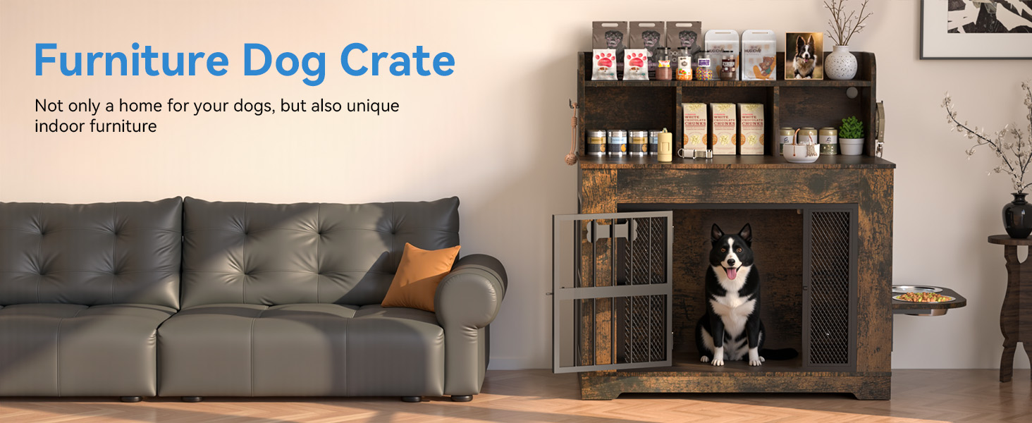 Watch dog crate furniture on Amazon Live