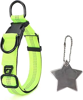 Amazon | comfortpet 犬 首輪 大型犬 中型犬 ダブルロック 反射材
