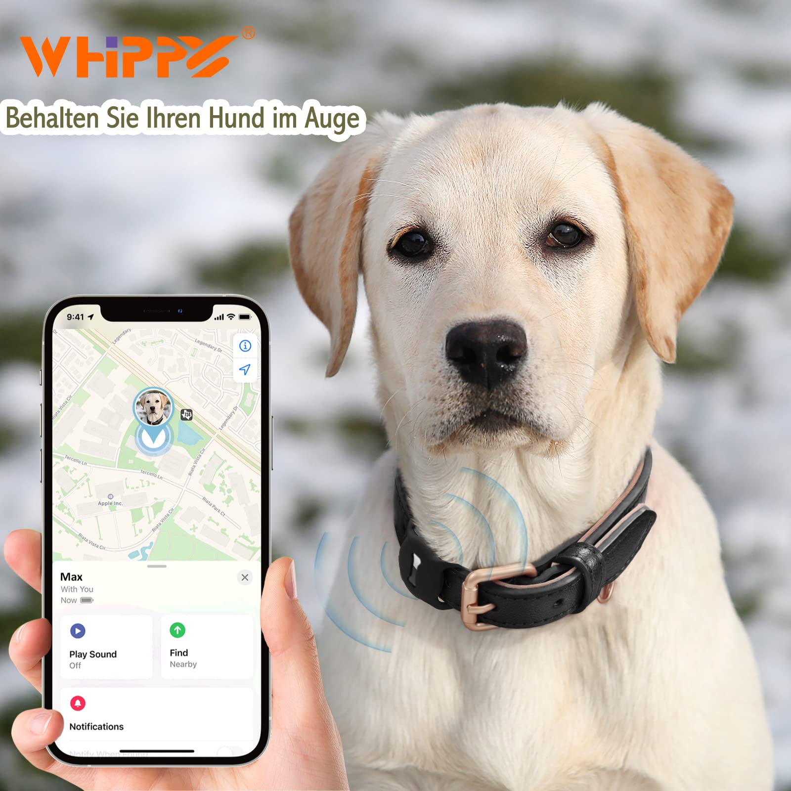 Leder-Hundehalsband Mit AirTag-Fach – Für Kleine Bis Große Hunde & Katzen, Verstellbar, Mit D-Ring – Schwarz, Größe L