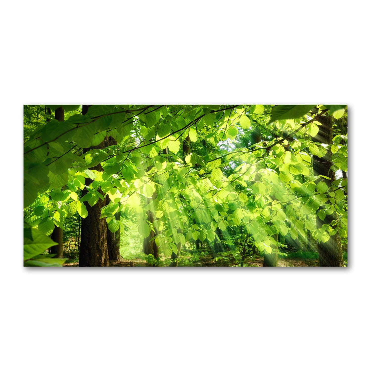 Tableau en verre acrylique 120x60cm pour décoration murale moderne motif feuilles hêtre