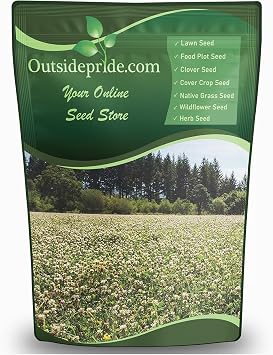 Outsidepride Perennial White Ladino Clover Seed - 10 lbs. Nitrocoated, Inoculated Bulk Clover Seeds, Ideal for Pasture, Forage, Food Plots & Wildlife Ground Cover for Continuous & Rotational Grazing