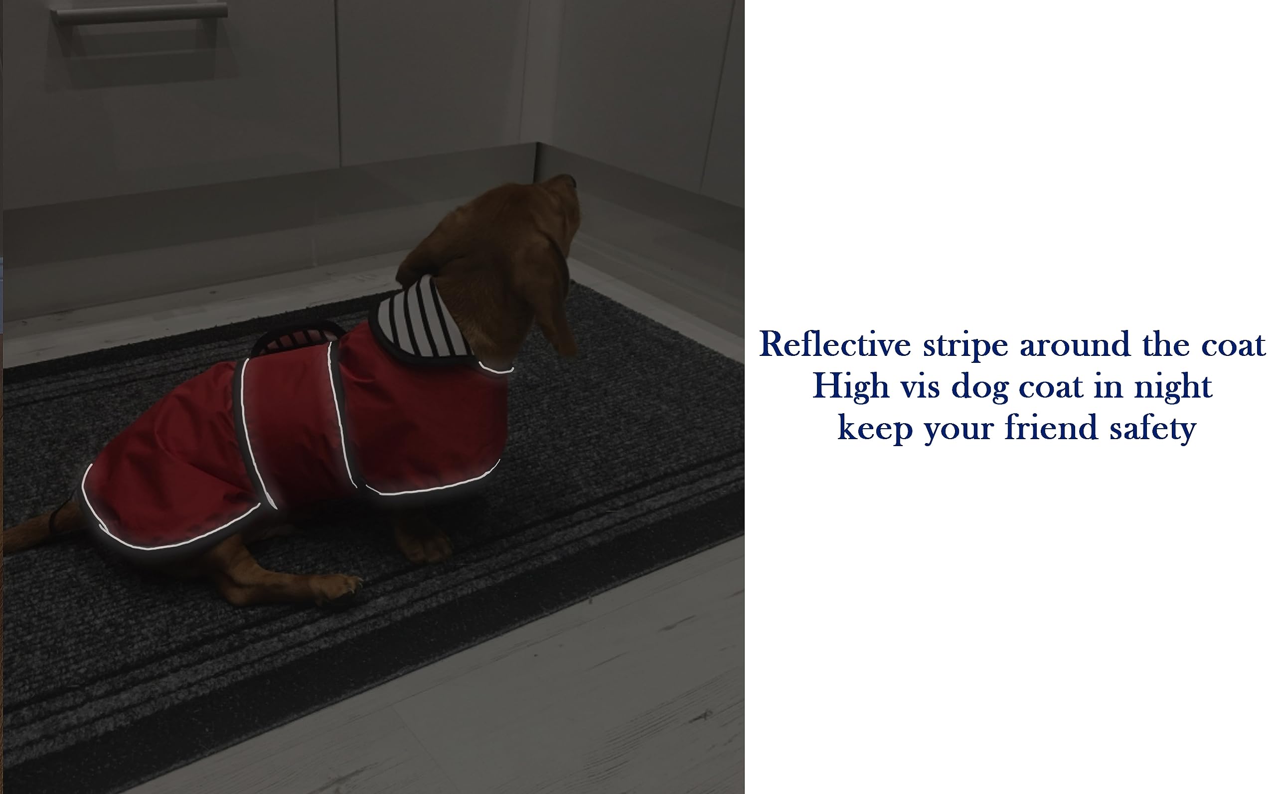 MOREZI Imperméable élégant pour Chien.imperméable/résistant à la Pluie.avec des Bandes réfléchissantes et des Bretelles réglables.Convient aux teckels-Rouge-L