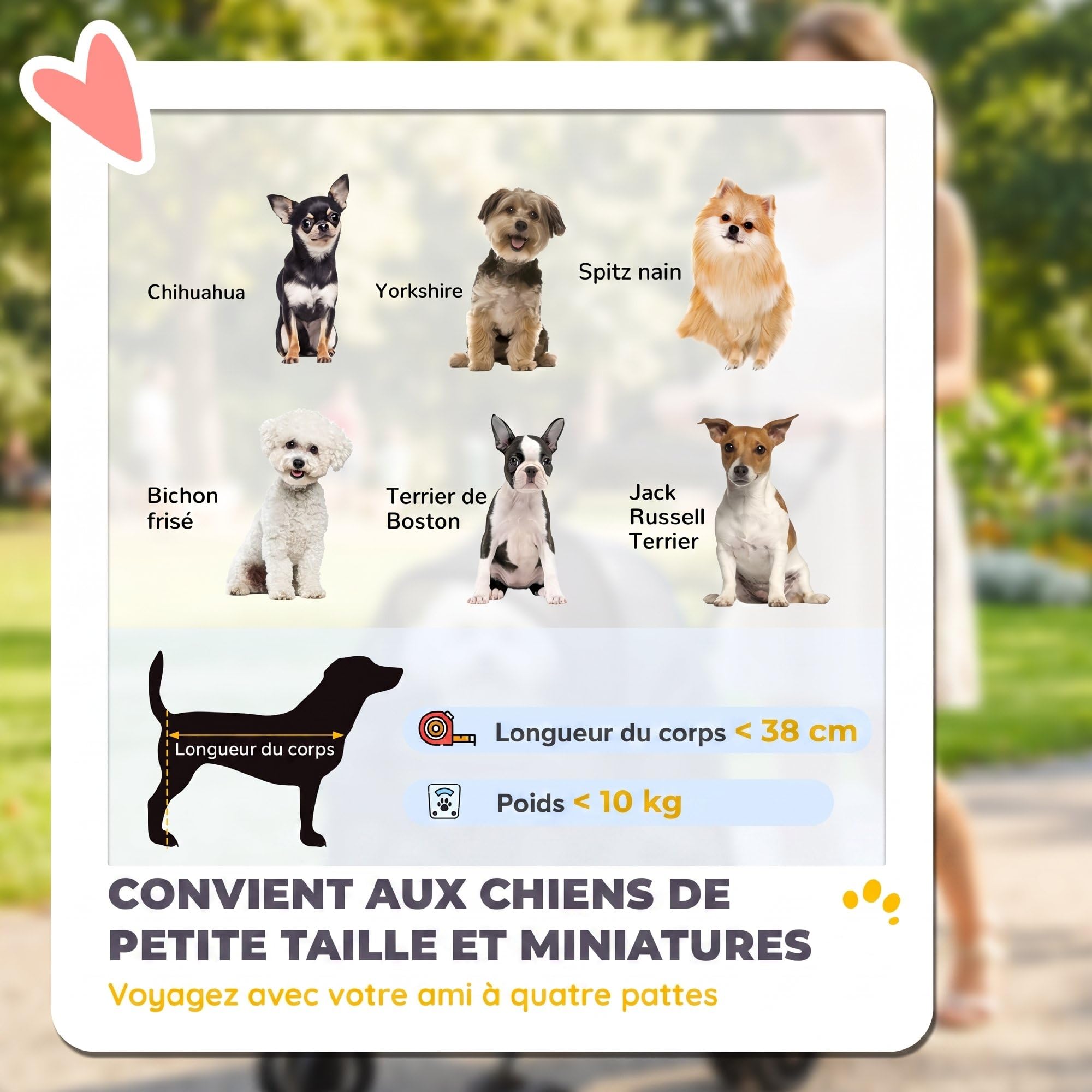 PawHut Poussette pour Chien avec 4 Roues EVA, Chariot Pliable avec Fenêtres en Maille, Frein, Laisses de Sécurité, Coussin Amovible, Plateau de Rangement, Porte-Gobelet, pour Petits Chiens, Gris