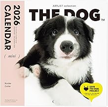 THE DOG 2026 Wall Calendar, Mini Size, Border Collie