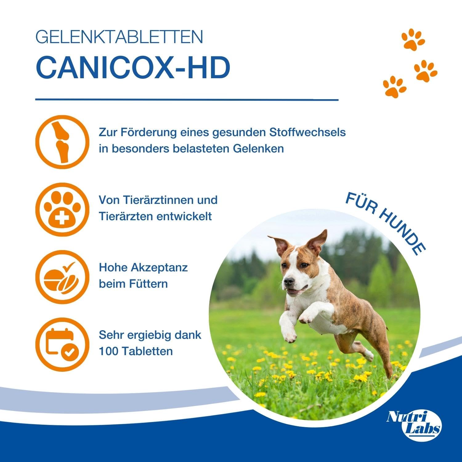 NutriLabs Canicox-HD Gelenktabletten für Hunde zur Unterstützung bei Gelenksproblemen mit Glucosamin, Chondroitin & Acid Protect Hund Magenkräuter Kautabletten zur Unterstützung