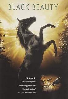 Black Beauty (DVD)