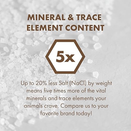 Miniatura 4 de Sea-90 Sal mineral premium, bolsa de 5 libras