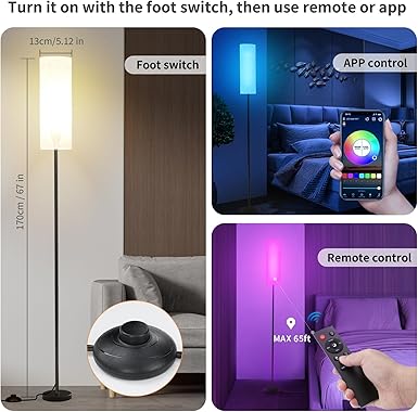 FRIDEKO HOME FRIDEKO HOME Vloerlamp voor woonkamer, modern, led-vloerlamp, RGB, dimbaar, staande lamp met afstandsbediening, voor kantoor, slaapkamer, zwart photo 2