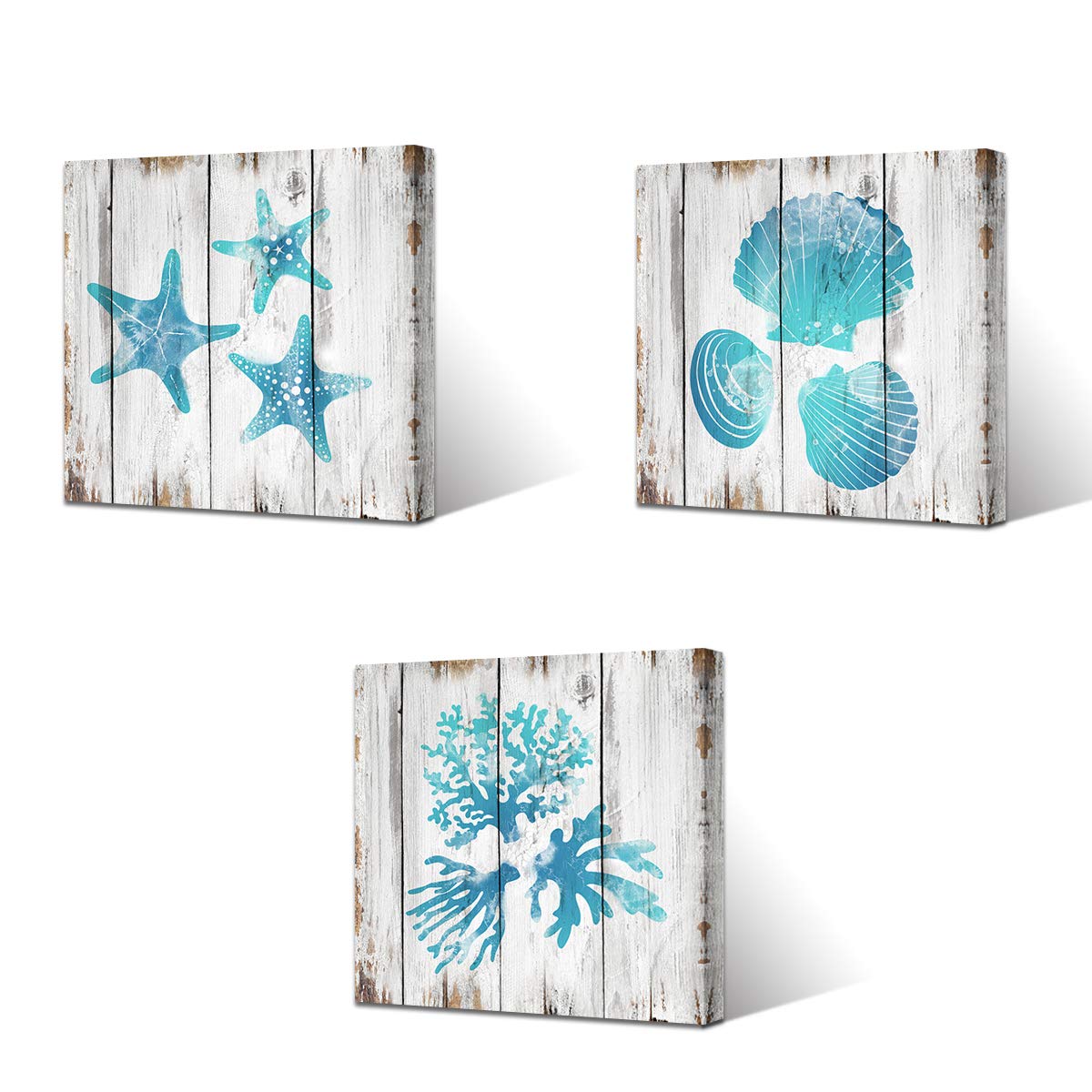 Buy VVOVV Wall Decor Beach Bathroom Decor Teal Coral Starfish Seashell
