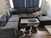 Review Image by Kindle Customer Kindle Customer