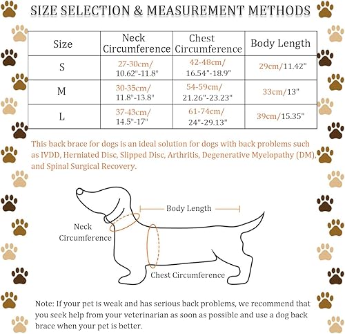 Miniatura 10 de IVDD - Soporte de espalda para perros, chaleco flexible de apoyo de espalda de perro salchicha para mascotas, soporte de espalda para mascotas