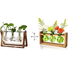 FLOWER 3 Bulb Vase Plant Terrarium with Wooden Stand+3 Bulb Green Glass Propagation Station