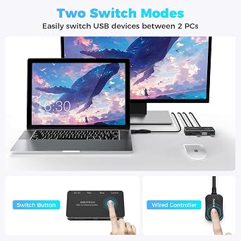 RSHTECH USB 3.0/USB C Switch 2 Computers Share 4 USB Devices, RSH-A201R