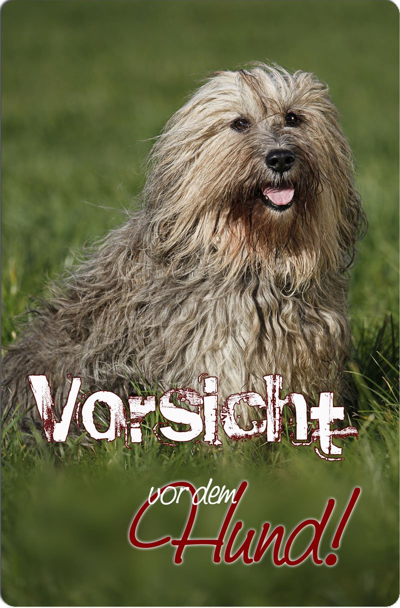 Warnschild Für Polnischen Hütehund Aus Aluminium – 30,5x20 Cm (A4) Mit Abgerundeten Ecken, Individuell Lochbar