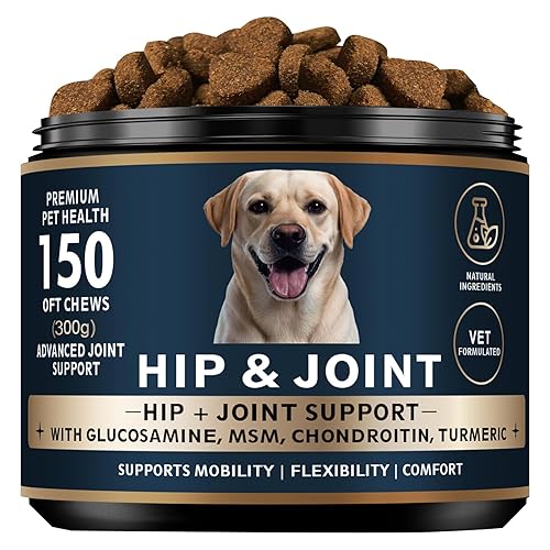 Glucosamina para perros  150 masticables suaves, suplemento de cadera y articulaciones con MSM, condroitina, cúrcuma  Soporte articular para perros