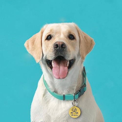 Miniatura 5 de Etiquetas para perro grabadas para mascotas, etiqueta de perro personalizada, etiquetas de identificación de perro de acero inoxidable