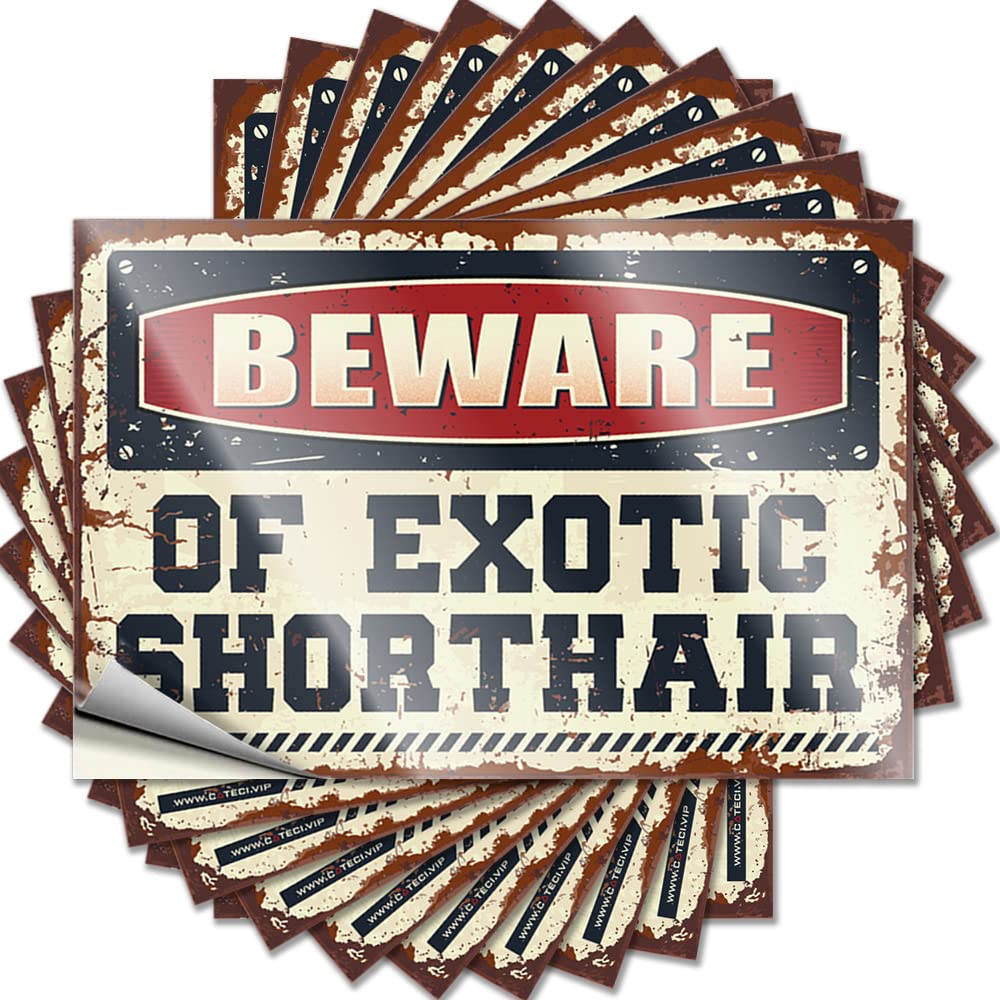 Stuff for Teens, Decal Antimicrobial Hat Beware of Exotic Shorthair | Funny Waterproof Vinyl Stickers(12X18CM)
