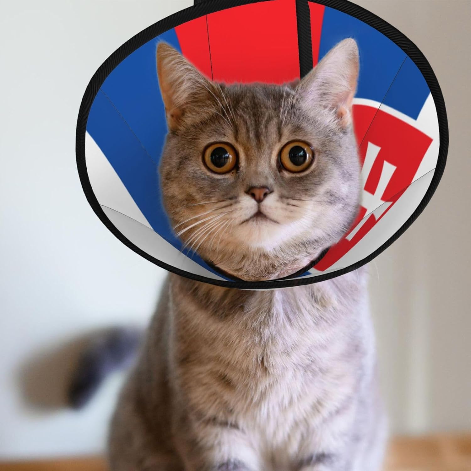 Custom Pet Cones - Unique Design Cat & Dog Cone, Collar for Post-Surgery Recovery, Adjustable Neck Flag of Slovakia Medium