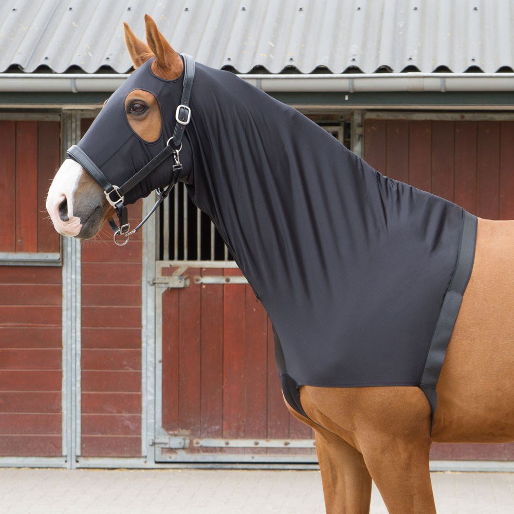 Chaleco protector de HARRY'S HORSE