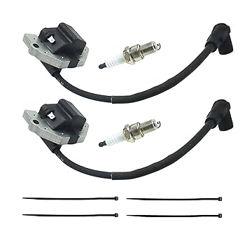 Amazon.com: 2 Sets of 21171-0745 Ignition Coils Module for