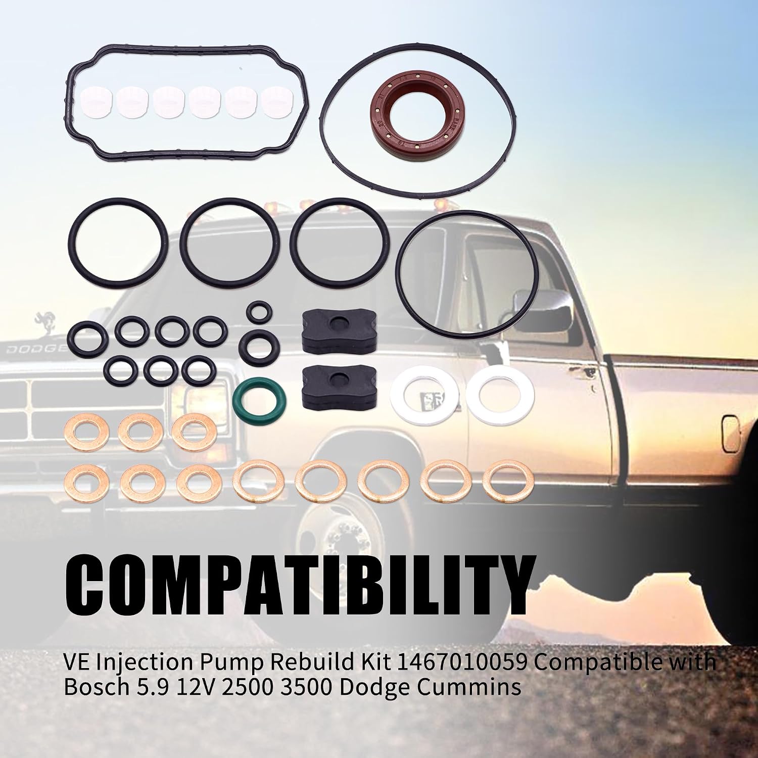 VE Injection Pump Rebuild Kit 1467010059 Fuel Injection Pump Repair Kit Compatible with Bosch 5.9 12V 2500 3500 Dodge Cummins 14670-10059 1-467-010-059