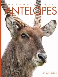 Antelopes (Amazing Animals)