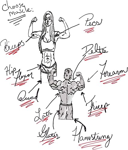 Miniatura 4 de Elite Rubber Series - Muscle Roller Massage Stick for Legs, Roller for Shin Splints - Fitness Answered Training