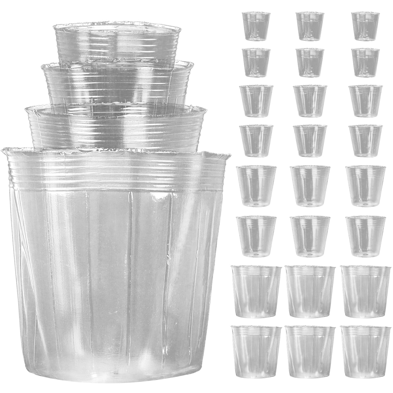 Pots pour orchidée plastique perforé pour embellir votre intérieur