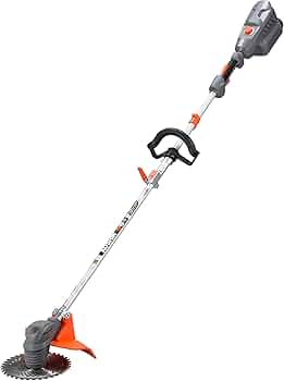 71bcYWq3pmL._AC_UF350, 71bcYWq3pmL._AC_UF350,