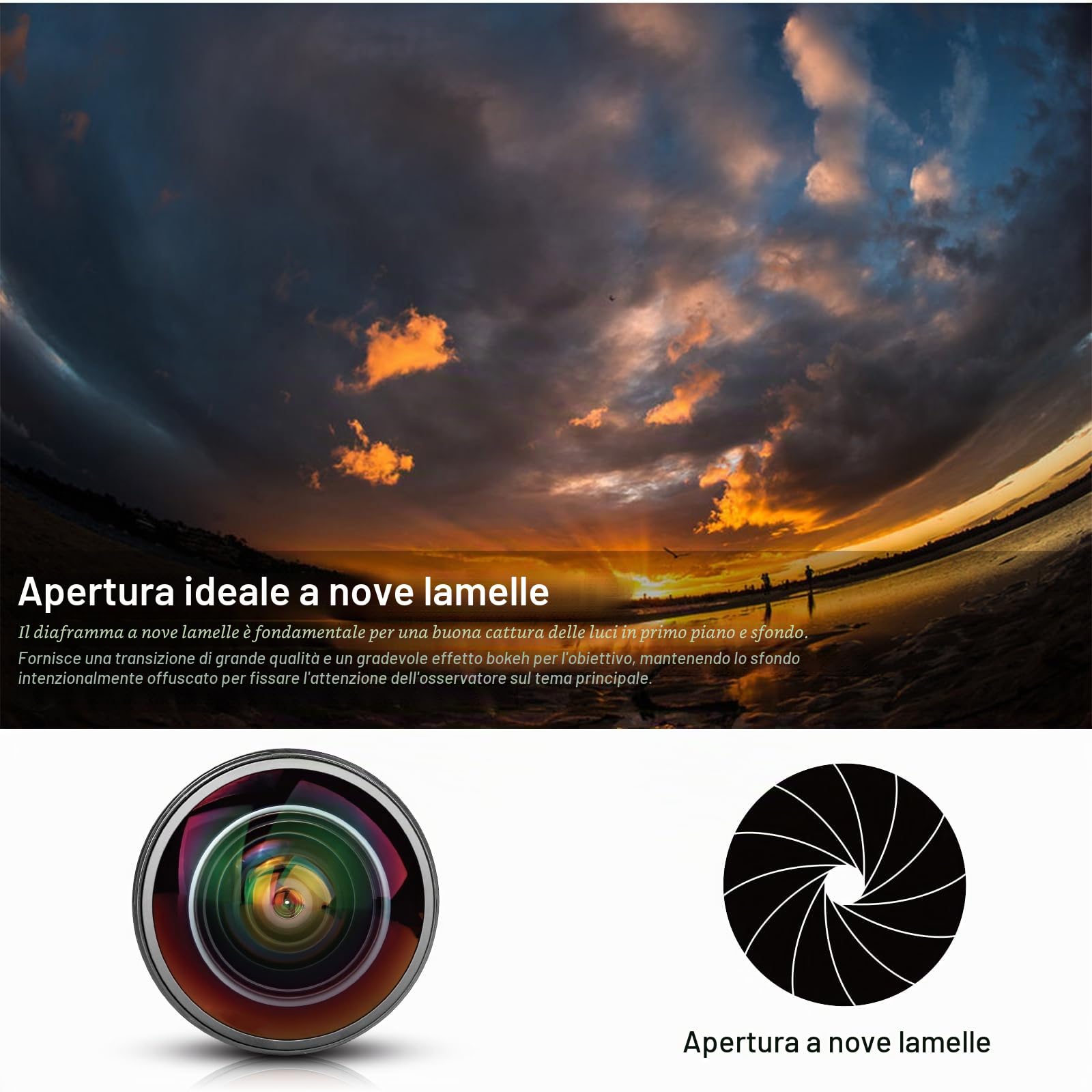 Meike Optics MK 8mm f3.5 - Obiettivo Fisheye ultra grandangolare per Canon EF Mount