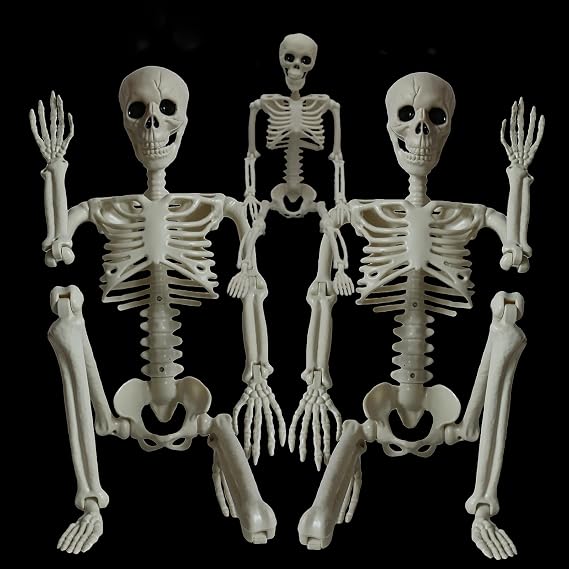 Skeleton Halloween Decorations Outdoor Indoor - 2Pcs 36 1Pcs 16 Posable Plastic Skeleton, Movable Joints Full Body Bones,Funny Halloween Decor for Party,Porch,Haunted House,Yard, Garden,Graveyard