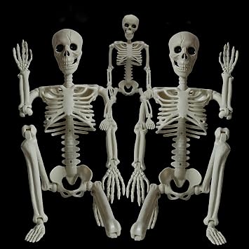 Skeleton Halloween Decorations Outdoor Indoor - 2Pcs 36 1Pcs 16 Posable Plastic Skeleton, Movable Joints Full Body Bones,Funny Halloween Decor for Party,Porch,Haunted House,Yard, Garden,Graveyard