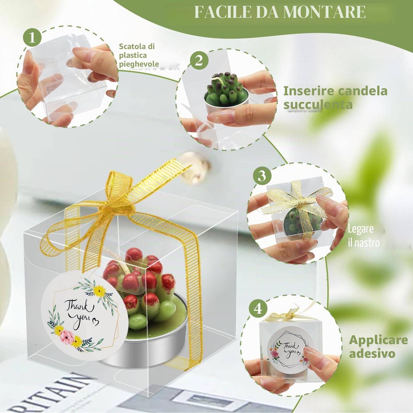 AZEAM 48 pz Candele Succulente per Feste, Decorazione da Tavolo a Forma di Cactus per gli Ospiti, Mini Piccole Tealight Fatte a Mano Set di Decorazioni per Baby Shower, Premi, Giochi, Matrimoni