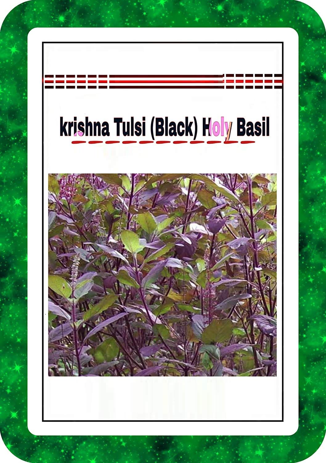 See full amazon price history chart for ™ VXI-161-Tulasi seeds krishna tulsi seeds (Black) Holy Basil ™ VXI-161-Tulasi seeds krishna tulsi seeds (Black) Holy Basil (B0C65ZGG7N) Amazon Price History, Amazon Price Tracker