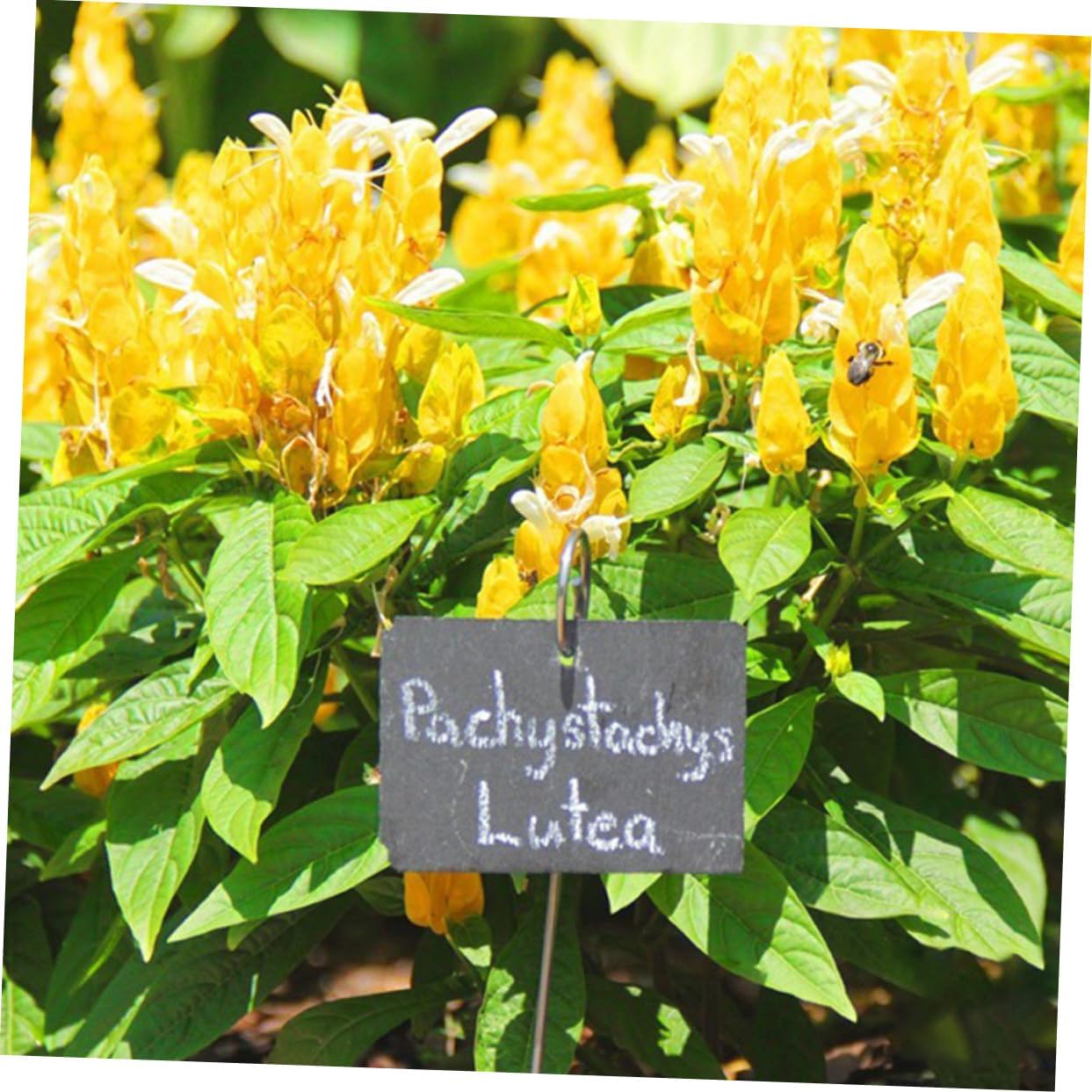 Garden Plant Labels 12-Piece Set for Outdoor Use Waterproof Chalkboard Tags for Herb and Flower Marking Reusable Tree Identification in Outdoor Gardens