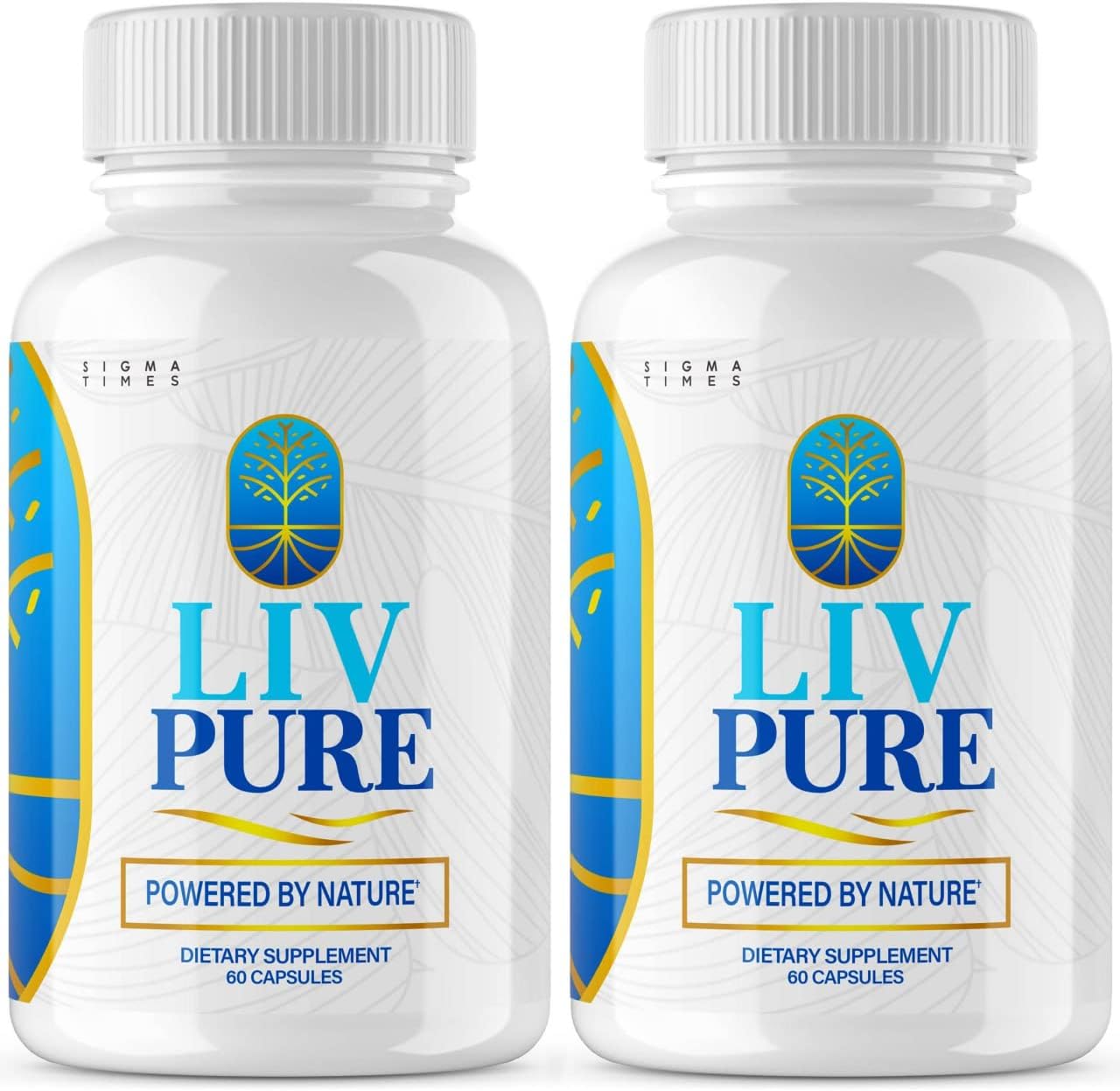(2 Pack) Liv Pure Pills Capsules - LivPure Powered by Nature Supplement for Liver Detox and Diet Hydration Purification Function Extra Strength Health Support & Clense (120 Capsules)